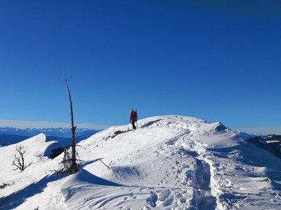 [Concours Photo Sophie 2022] En route (descente)