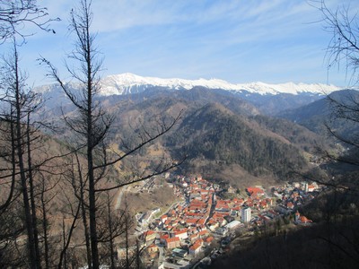 Vue sur la ville de Tržič (au fond : Košuta) Vue sur la ville de Tržič (au fond : Košuta)