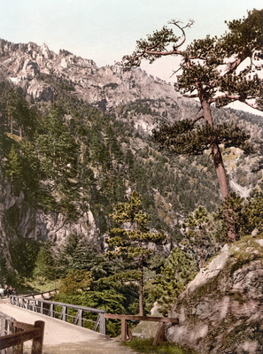 Entrée de la vallée Höllental, en 1900 par Photoglob N°0000017333