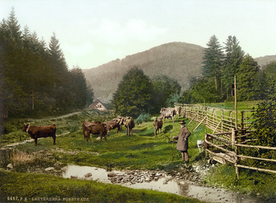 Près de Bad Lauterberg, en 1900, par Photoglob N°0000006487 Près de Bad Lauterberg, en 1900, par Photoglob N°0000006487