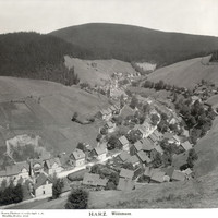 Wildemann en 1906 par NPG