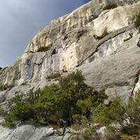 L2, fissure