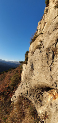 Placca dell'Oasi Placca dell'Oasi