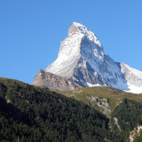 Cervin majestueux
