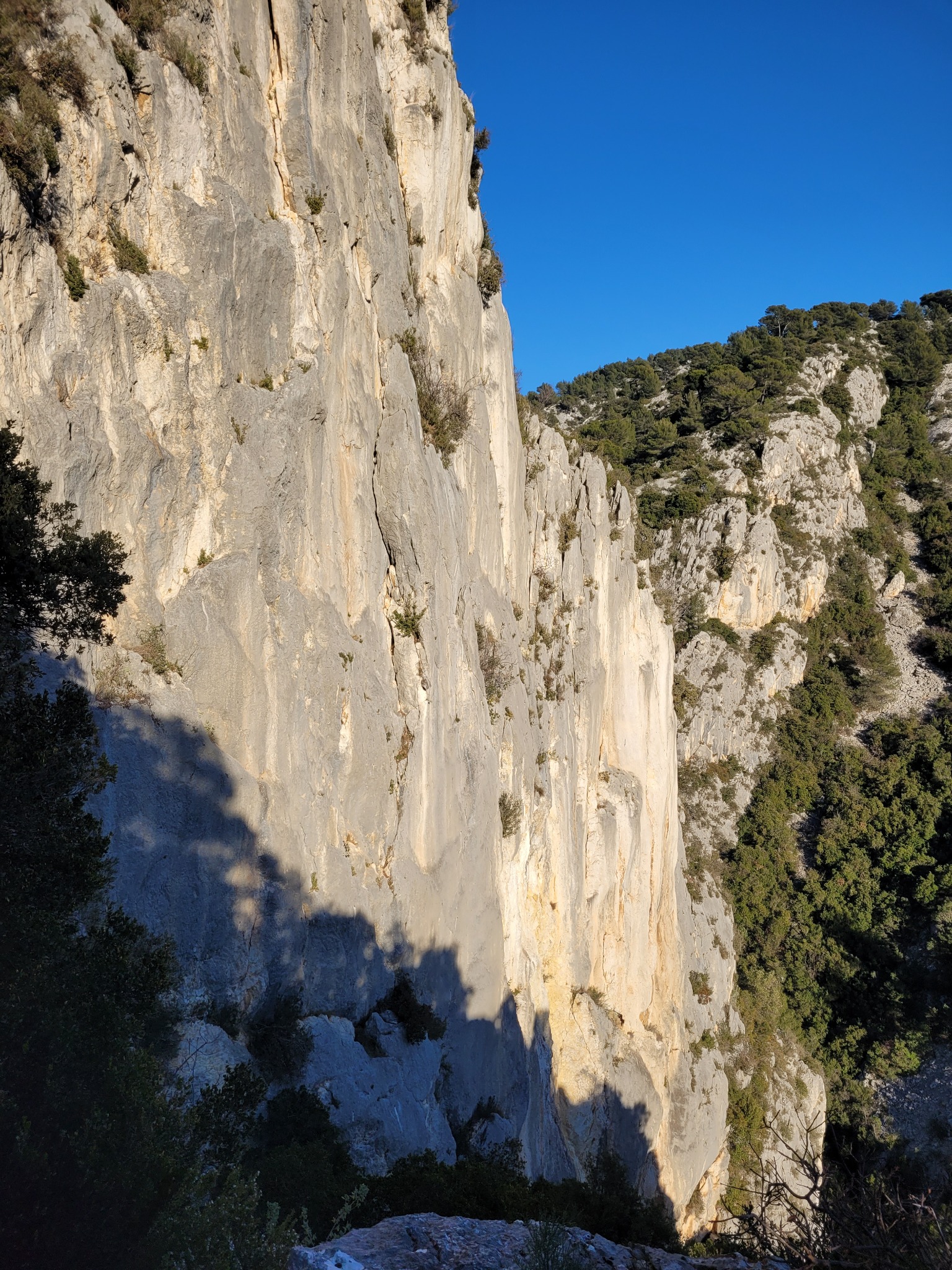 Vue de Environs de Toulon - Destel Babylone