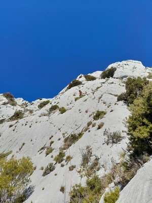 L5 : Bruno chemine en suivant la ligne de prises, et c'est loin d'être facile ! L5 : Bruno chemine en suivant la ligne de prises, et c'est loin d'être facile !