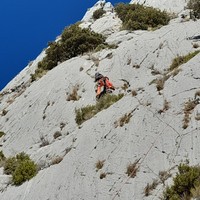Détail fin de L5 : relais après le chêne... On aperçoit la L6 au-dessus