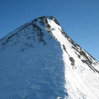 Tête Pelouse