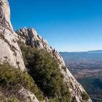 R6 : on descend dans la petite forêt pour rejoindre la dalle canelée 