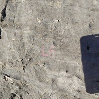 L7 : la dalle canelée, qui est L8 de Je Vous Salue Paris