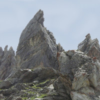 Arêtes de la Bruyère
