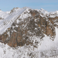 Tête Colombe