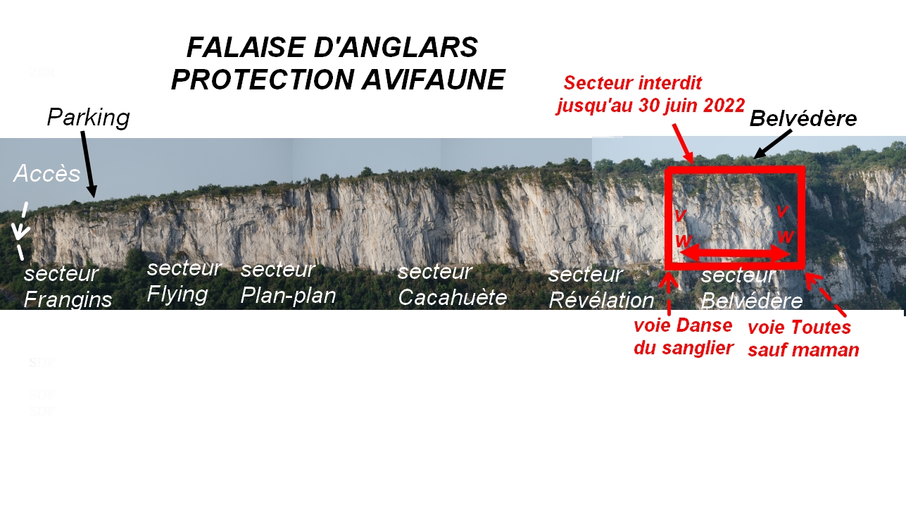 Vue de Saint-Antonin-Noble-Val - Roc d'Anglars