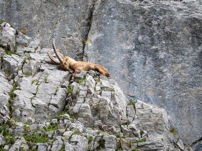 [Concours Photo Sophie 2023] Grosse fatigue