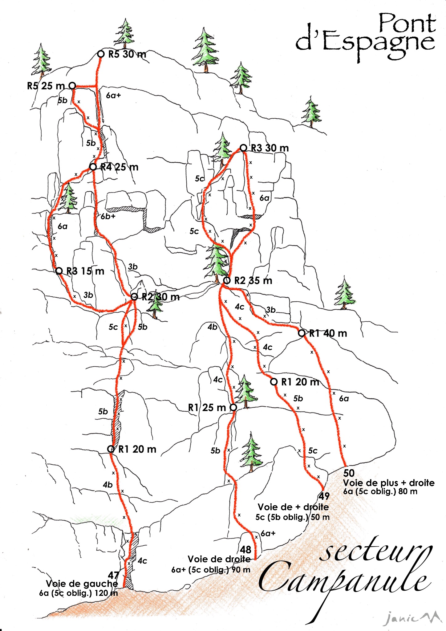 Secteur Campanule Schéma graphique