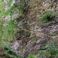 Paroie de la fissure : passage câblé de la descente 