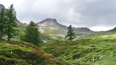 Mont Fallère versant vallon d'Ars