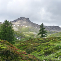 Mont Fallère versant vallon d'Ars
