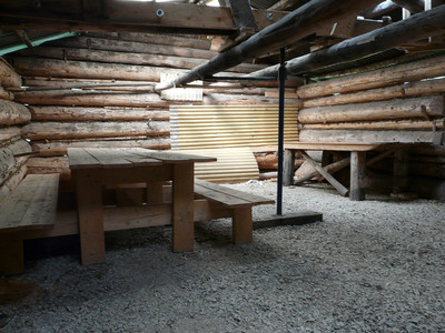 Cabane forestière de queue de chien