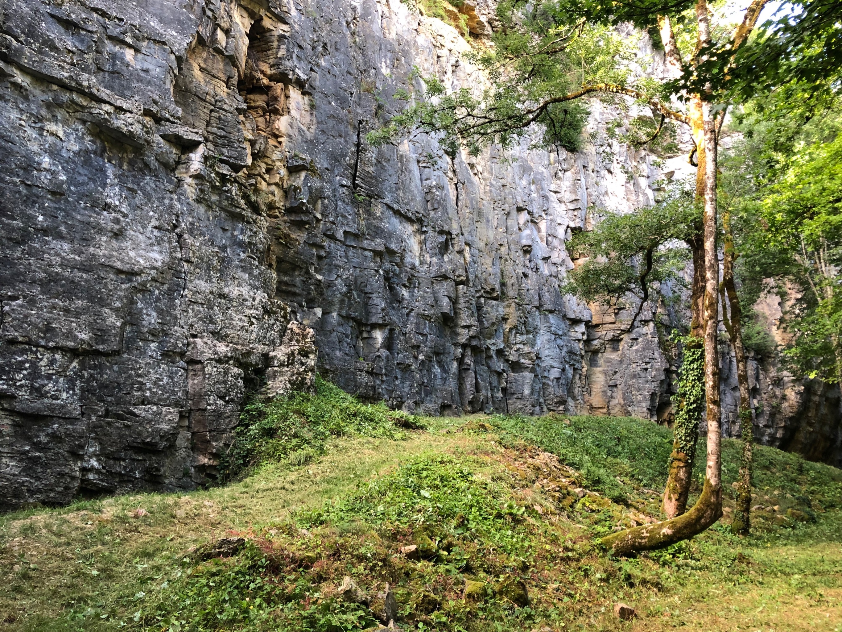 Vue de Cohons / Sous-Cerfol