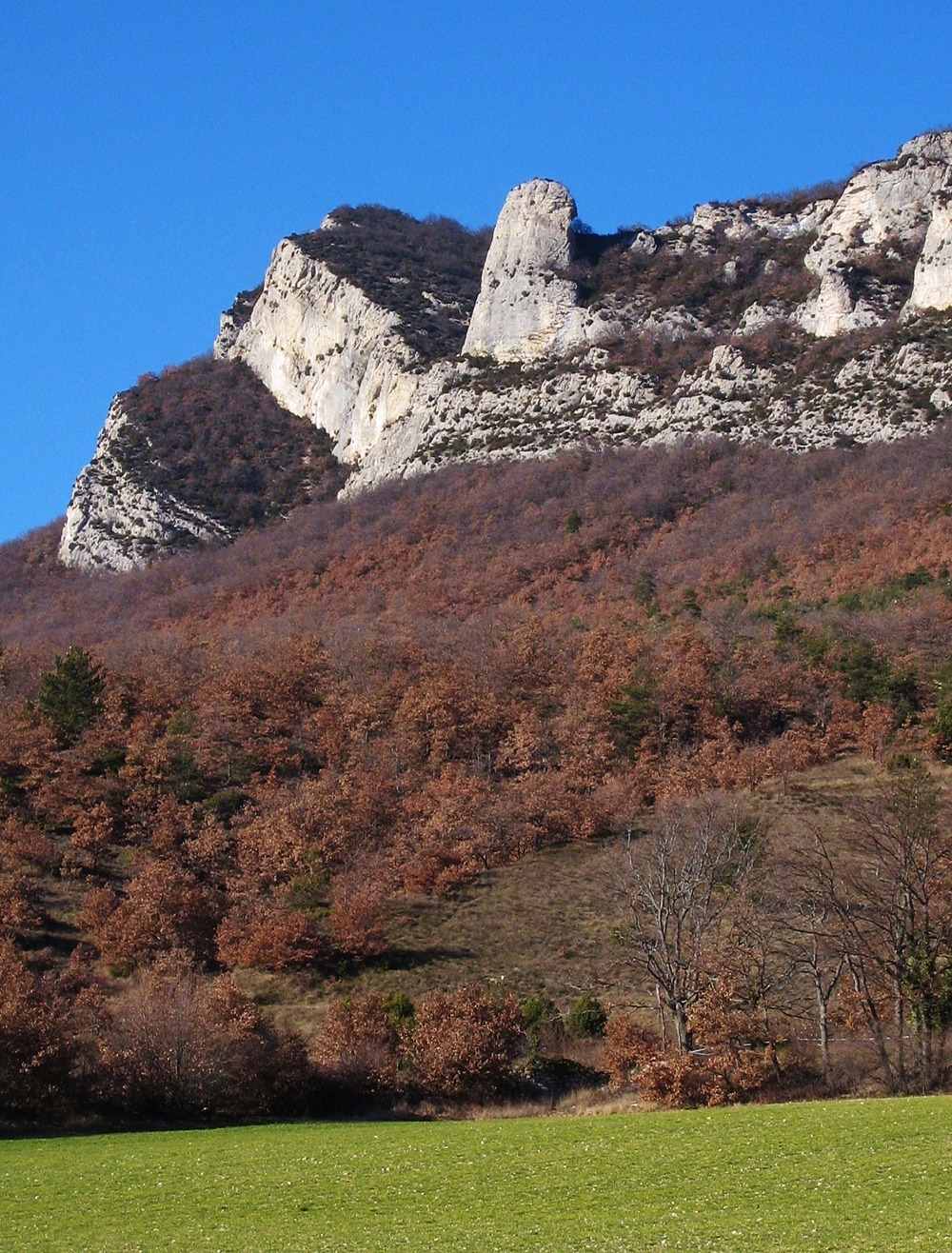 Saoû : Roche Colombe (G) et Poupoune (D) vues depuis Saoû