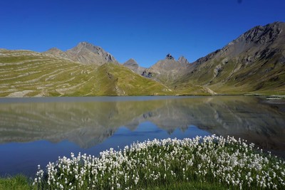 [Concours Photo Sophie 2022] Aiguilles du Goléon, de la Saussaz et d'Arves se reflétant dans le lac du Goléon 