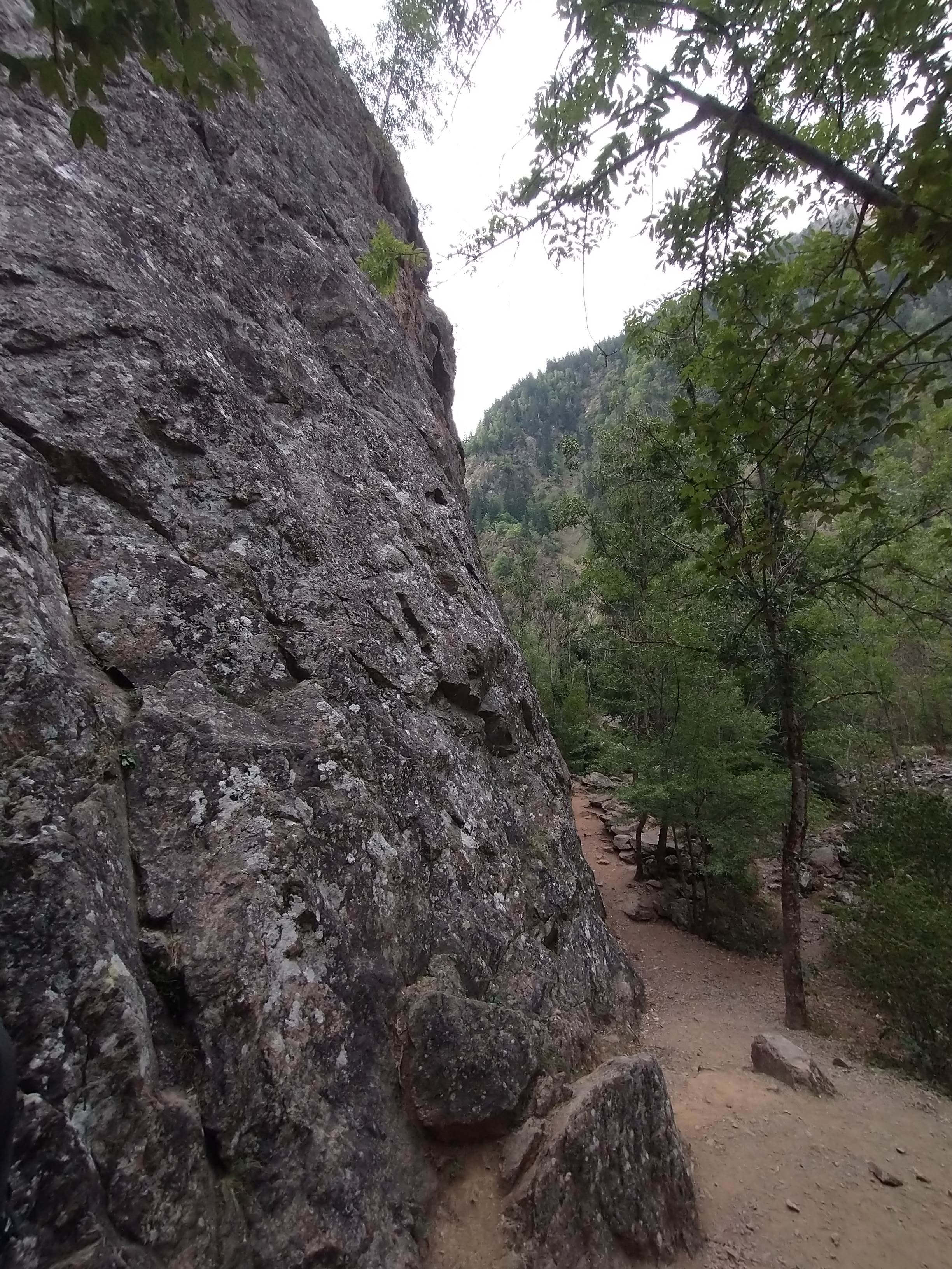 Milieu de la falaise