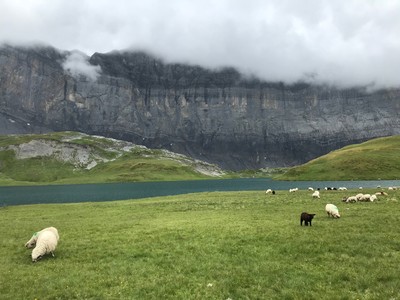 Lac d' d'Anterne, sur le GR 5, par temps couvert