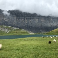 Lac d' d'Anterne, sur le GR 5, par temps couvert