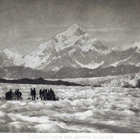 St Elias vu du Glacier Malaspina par Vittorio Sella