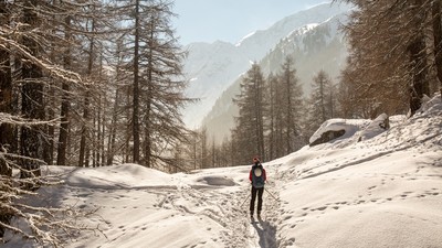 [Concours photo Sophie 2022] Meg en route vers la cabane des Aiguilles Rouges