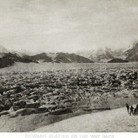 Glacier Seward US par Vittorio Sella