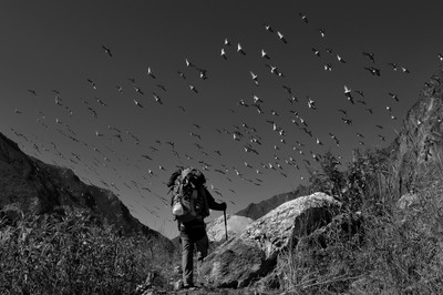 [Concours Photo Sophie 2022] Vallée du Langtang Népal