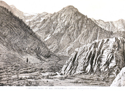 Cottonwood cañon, Wahsatch, photo T.H. O Sullivan, litho Julius Bien