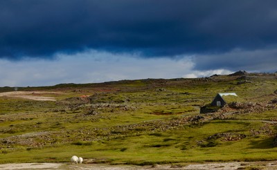  [Concours Photo Sophie 2022] Hveravellir - Islande