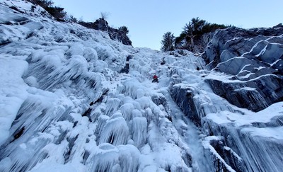 [Concours Photo Sophie 2022] - Medusé...