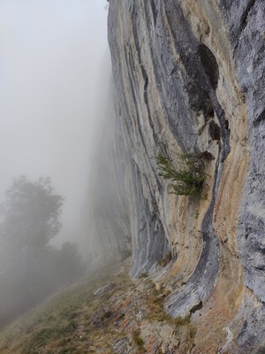 [Concours Photo Sophie 2022] la brume matinale