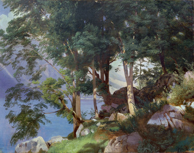 Au bord du Lac de Brienz par Johann Gottfried Steffan en 1865