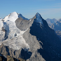 Eiger - Arête Mittellegi vue depuis le Wetterhorn