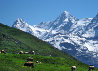 Eiger & Monch Eiger & Monch