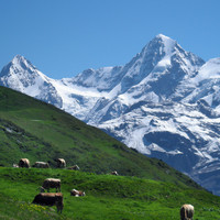 Eiger & Monch