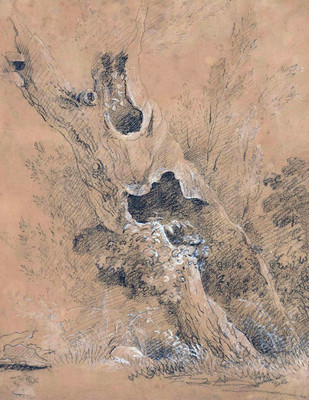 Tronc d'arbre par J.A. Linck Tronc d'arbre par J.A. Linck