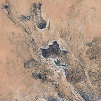 Tronc d'arbre par J.A. Linck
