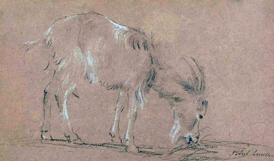 La chèvre par J.A linck La chèvre par J.A linck