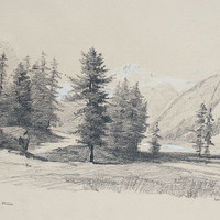 Arolles et Mélèzes, vallée de Pontresina par Gabriel Loppé