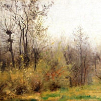 Forêt par Gabriel Loppé