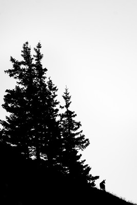 [Concours Photo Sophie 2022] Silhouette 