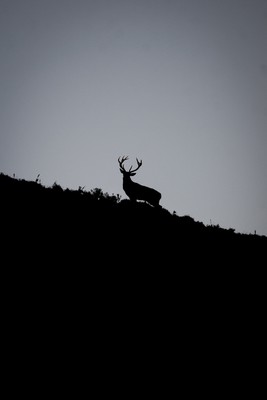 [Concours Photo Sophie 2022] L'arête du Cerf