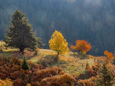  [Concours Photo Sophie 2022] Colori
