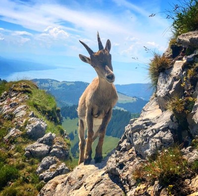 [Concours Photo Sophie 2022] C’est à moi que tu parles ?